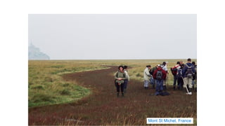 Mont St Michel, France
 