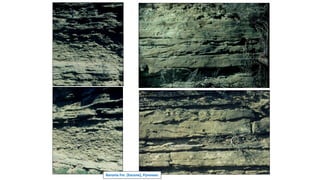 Baronia Fm. (Eocene), Pyrenees
Mudflat
Mixed-flat
Sandflat
Sandflat
 