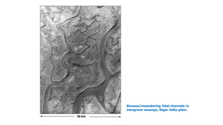 Sinuous/meandering tidal channels in
mangrove swamps, Niger delta plain.
30 km
 