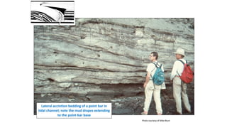 Lateral accretion bedding of a point bar in
tidal channel; note the mud drapes extending
to the point-bar base
Photo courtesy of Mike Blum
 