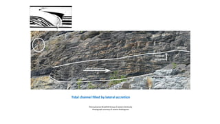 Tidal channel filled by lateral accretion
Pennsylvanian BreathittGroup of eastern Kentucky
Photograph courtesy of Jostein Koldingsnes
 