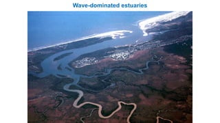 Wave-dominated estuaries
 