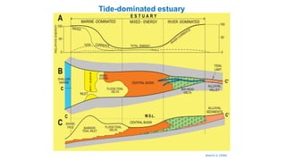 Tide-dominated estuary
Boyd et al. (2006)
 