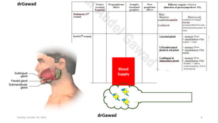 Lecture+3 | PPT