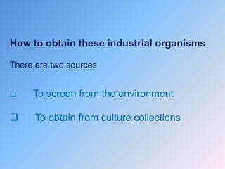 How to obtain these industrial organisms
There are two sources
 To screen from the environment
 To obtain from culture collections
 