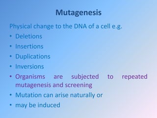 Mutagenesis
Physical change to the DNA of a cell e.g.
• Deletions
• Insertions
• Duplications
• Inversions
• Organisms are subjected to repeated
mutagenesis and screening
• Mutation can arise naturally or
• may be induced
 