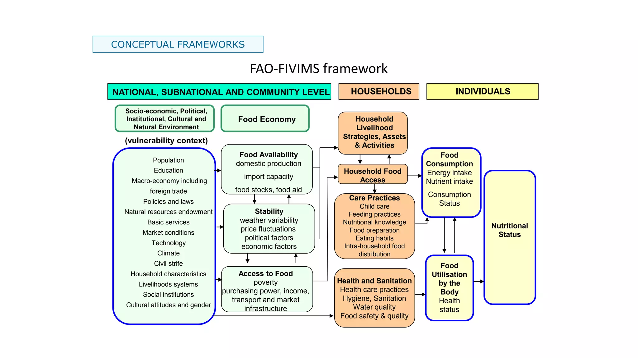 CONCEPTUAL FRAMEWORKS
Socio-economic, Political,
Institutional, Cultural and
Natural Environment
(vulnerability context)
Food Economy
Food Availability
domestic production
import capacity
food stocks, food aid
Access to Food
poverty
purchasing power, income,
transport and market
infrastructure
Household
Livelihood
Strategies, Assets
& Activities
Household Food
Access
Health and Sanitation
Health care practices
Hygiene, Sanitation
Water quality
Food safety & quality
Food
Consumption
Energy intake
Nutrient intake
Consumption
Status
Food
Utilisation
by the
Body
Health
status
Care Practices
Child care
Feeding practices
Nutritional knowledge
Food preparation
Eating habits
Intra-household food
distribution
Nutritional
Status
Stability
weather variability
price fluctuations
political factors
economic factors
Population
Education
Macro-economy including
foreign trade
Policies and laws
Natural resources endowment
Basic services
Market conditions
Technology
Climate
Civil strife
Household characteristics
Livelihoods systems
Social institutions
Cultural attitudes and gender
NATIONAL, SUBNATIONAL AND COMMUNITY LEVEL HOUSEHOLDS INDIVIDUALS
FAO-FIVIMS framework
 