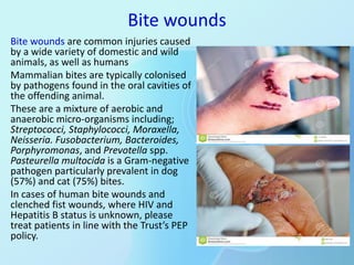 Bite wounds
Bite wounds are common injuries caused
by a wide variety of domestic and wild
animals, as well as humans
Mamma...