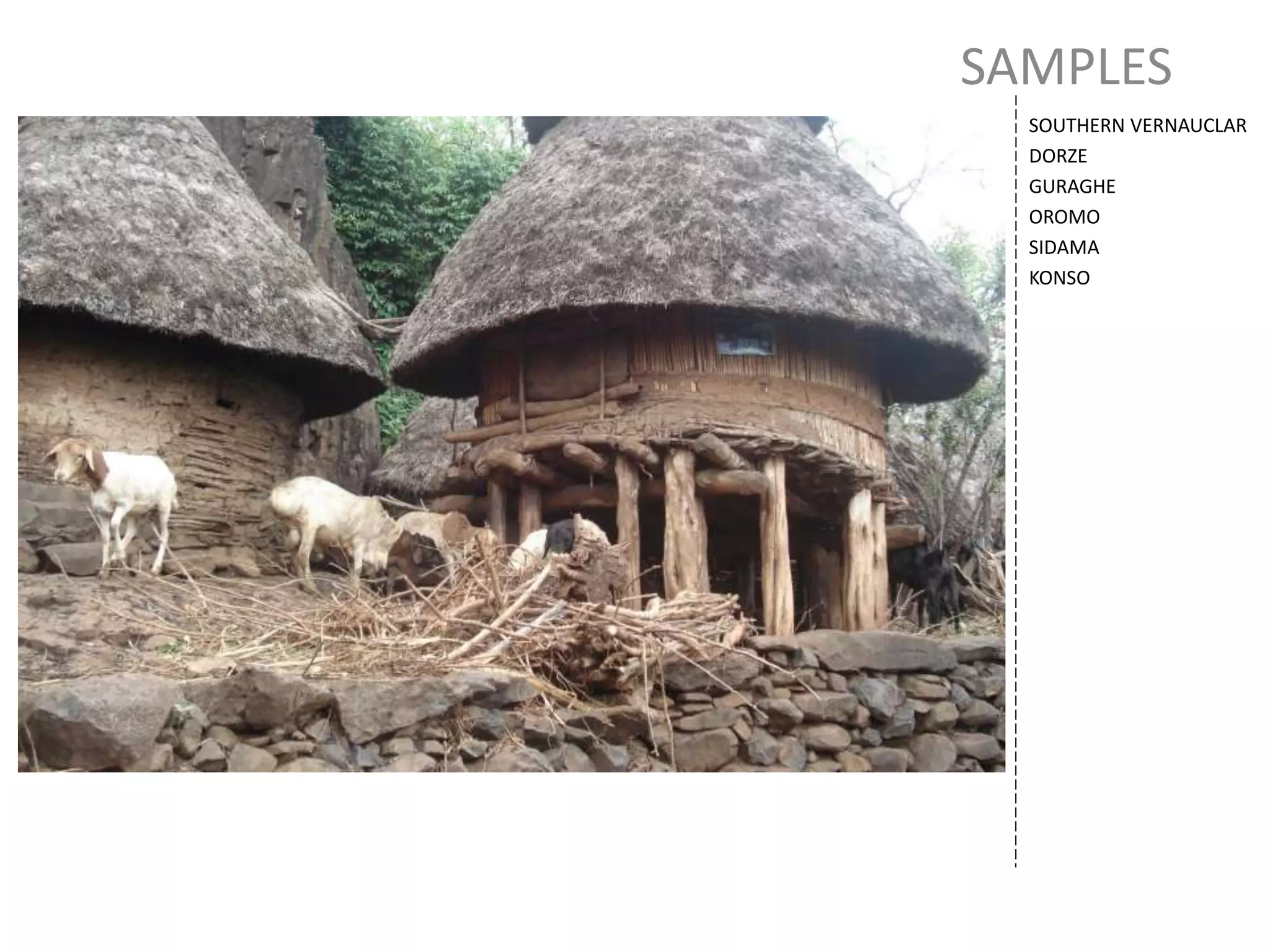 SAMPLES
SOUTHERN VERNAUCLAR
DORZE
GURAGHE
OROMO
SIDAMA
KONSO
 