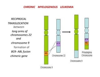 Lecture 3.pdf