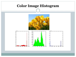 Color Image Histogram
 