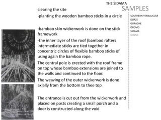 SAMPLES
SOUTHERN VERNAUCLAR
DORZE
GURAGHE
OROMO
SIDAMA
KONSO
THE SIDAMA
clearing the site
-planting the wooden bamboo sticks in a circle
-bamboo skin wickerwork is done on the stick
framework
-the inner layer of the roof (bamboo rafters
intermediate sticks are tied together in
concentric circles of flexible bamboo sticks of
using again the bamboo rope.
The central pole is erected with the roof frame
on top whose bamboo extensions are joined to
the walls and continued to the floor.
The weaving of the outer wickerwork is done
axially from the bottom to thee top
The entrance is cut out from the wickerwork and
placed on posts creating a small porch and a
door is constructed along the void
 
