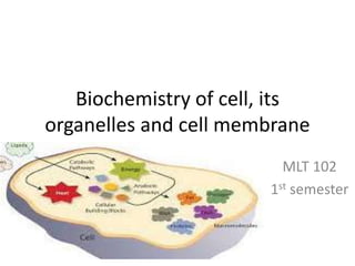 Biochemistry of cell, its
organelles and cell membrane
MLT 102
1st semester
 