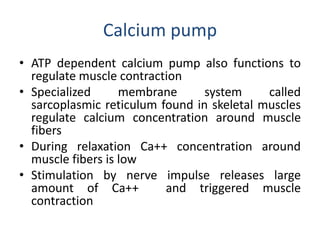 Cell lecture 3 | PPTX