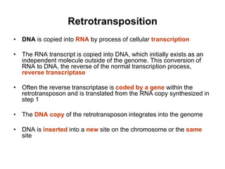 Retrotransposition
• DNA is copied into RNA by process of cellular transcription
• The RNA transcript is copied into DNA, which initially exists as an
independent molecule outside of the genome. This conversion of
RNA to DNA, the reverse of the normal transcription process,
reverse transcriptase
• Often the reverse transcriptase is coded by a gene within the
retrotransposon and is translated from the RNA copy synthesized in
step 1
• The DNA copy of the retrotransposon integrates into the genome
• DNA is inserted into a new site on the chromosome or the same
site
 