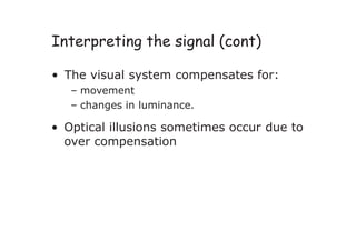 Interpreting the signal (cont)
• The visual system compensates for:
– movement
– changes in luminance.
• Optical illusions sometimes occur due to
over compensation
 