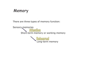 Memory
There are three types of memory function:
Sensory memories
Short-term memory or working memory
Long-term memory
 