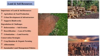 Importance of Land & Soil Resources
 Agriculture & Food Production
 Urban Development & Infrastructure
 Supports Biodiversity
Degradation & Challenges
 Deforestation → Soil Erosion
 Desertification → Loss of Fertility
 Urbanization → Land Scarcity
Conservation Strategies
 Crop Rotation & Organic Farming
 Afforestation
 Sustainable Land Management Policies
Land & Soil Resources
 