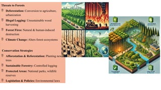 Threats to Forests
 Deforestation: Conversion to agriculture,
urbanization
 Illegal Logging: Unsustainable wood
harvesting
 Forest Fires: Natural & human-induced
destruction
 Climate Change: Alters forest ecosystems
Conservation Strategies
 Afforestation & Reforestation: Planting new
trees
 Sustainable Forestry: Controlled logging
 Protected Areas: National parks, wildlife
reserves
 Legislation & Policies: Environmental laws
 