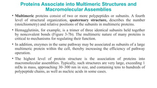 Protein its shape ,structure and functions | PPTX