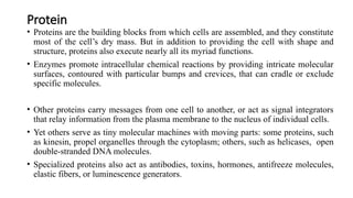 Protein its shape ,structure and functions | PPTX