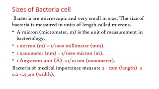 Sizes of Bacteria cell
Bacteria are microscopic and very small in size. The size of
bacteria is measured in units of length called microns.
• A micron (micrometer, m) is the unit of measurement in
bacteriology.
• 1 micron (m) = 1/1000 millimeter (mm).
• 1 nanometer (nm) = 1/1000 micron (m).
• 1 Angstrom unit (Å) =1/10 nm (nanometer).
Bacteria of medical importance measure 2 - 5µm (length) x
0.2 -1.5 µm (width).
 