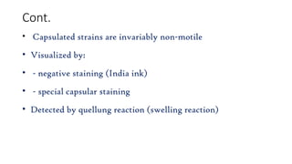 Cont.
• Capsulated strains are invariably non-motile
• Visualized by:
• - negative staining (India ink)
• - special capsular staining
• Detected by quellung reaction (swelling reaction)
 