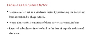 Capsule as a virulence factor
• Capsules often act as a virulence factor by protecting the bacterium
from ingestion by phagocytosis.
• where non-capsulate mutant of these bacteria are nonvirulent.
• Repeated subcultures in vitro lead to the loss of capsule and also of
virulence.
 