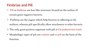 Fimbriae and Pili
o Pili or fimbriae are hair-like structures located on the surface of
certain gram-negative bacteria.
o Fimbriae are the organs which help bacteria in adhering to the
surfaces, whereas pili specifically allow attachment to other bacteria.
o The only gram-positive organism with pili is Corynebacterium renale.
• Morphologic types of pili are: common and sex pili on the basis of the
function.
 