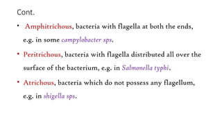 Cont.
• Amphitrichous, bacteria with flagella at both the ends,
e.g. in some campylobacter sps.
• Peritrichous, bacteria with flagella distributed all over the
surface of the bacterium, e.g. in Salmonella typhi.
• Atrichous, bacteria which do not possess any flagellum,
e.g. in shigella sps.
 