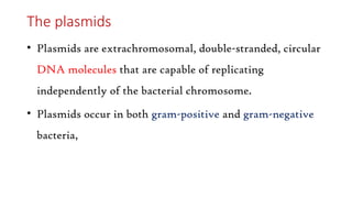The plasmids
• Plasmids are extrachromosomal, double-stranded, circular
DNA molecules that are capable of replicating
independently of the bacterial chromosome.
• Plasmids occur in both gram-positive and gram-negative
bacteria,
 