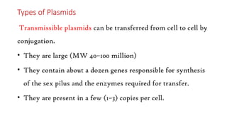 Types of Plasmids
Transmissible plasmids can be transferred from cell to cell by
conjugation.
• They are large (MW 40–100 million)
• They contain about a dozen genes responsible for synthesis
of the sex pilus and the enzymes required for transfer.
• They are present in a few (1–3) copies per cell.
 
