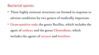 Bacterial spores
• These highly resistant structures are formed in response to
adverse conditions by two genera of medically important.
• Gram-positive rods: the genus Bacillus, which includes the
agent of anthrax and the genus Clostridium, which
includes the agents of tetanus and botulism.
 