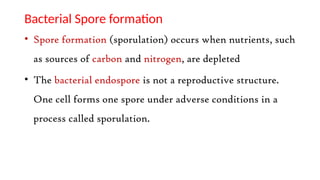 Bacterial Spore formation
• Spore formation (sporulation) occurs when nutrients, such
as sources of carbon and nitrogen, are depleted
• The bacterial endospore is not a reproductive structure.
One cell forms one spore under adverse conditions in a
process called sporulation.
 