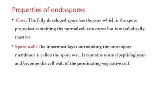 Properties of endospores
• Core: The fully developed spore has the core which is the spore
protoplast containing the normal cell structures but is metabolically
inactive.
• Spore wall: The innermost layer surrounding the inner spore
membrane is called the spore wall. It contains normal peptidoglycan
and becomes the cell wall of the germinating vegetative cell
 
