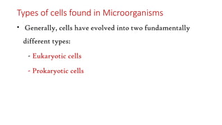 Types of cells found in Microorganisms
• Generally, cells have evolved into two fundamentally
different types:
- Eukaryotic cells
- Prokaryotic cells
 