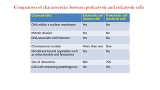 Characteristics Eukaryotic cell
(human cell)
Prokaryotic cell
(bacterial cell)
DNA within a nuclear membrane Yes No
Mitotic division Yes No
DNA associate with histones Yes No
Chromosome number More than one One
Membrane bound organelles such
as mitochondria and lysosomes
Yes No
Size of ribosomes 80S 70S
Cell wall containing peptidoglycan No Yes
Comparison of characteristics between prokaryotic and eukaryotic cells
 