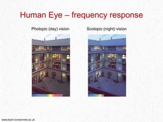 how human can see and the instruction of eyes.pdf.pdf