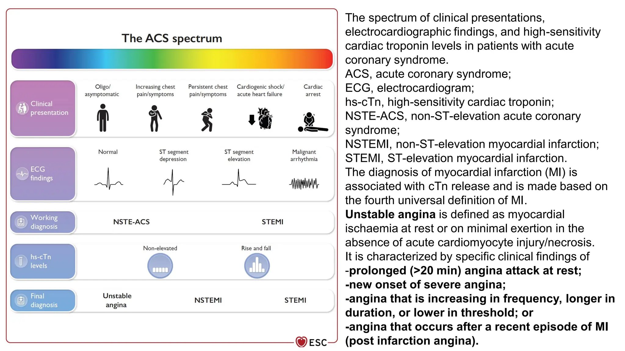 Lecture 3. Acute coronary syndromes — копия.pdf