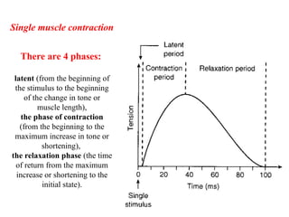 Physiology of contractile elements lecture | PPT