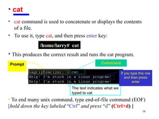 Introduction to Unix:Fundamental Commands | PPT
