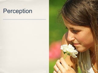 Perception
 
