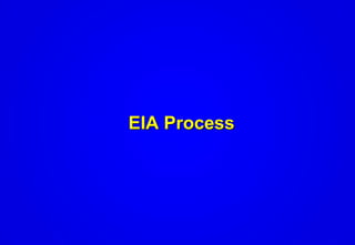 EIA Process
 