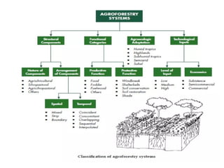Lecture 3-Agroforestry System and classification.pptx