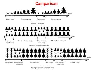 Lecture 3-Agroforestry System and classification.pptx