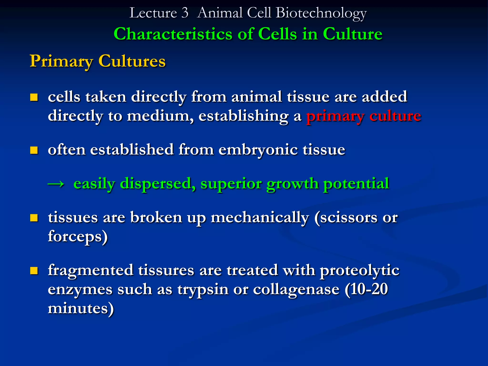 Lecture 3 Animal Cell Biotechnology
         Characteristics of Cells in Culture
Primary Cultures
   cells taken directly from animal tissue are added
    directly to medium, establishing a primary culture
   often established from embryonic tissue
    → easily dispersed, superior growth potential
   tissues are broken up mechanically (scissors or
    forceps)
   fragmented tissures are treated with proteolytic
    enzymes such as trypsin or collagenase (10-20
    minutes)
 