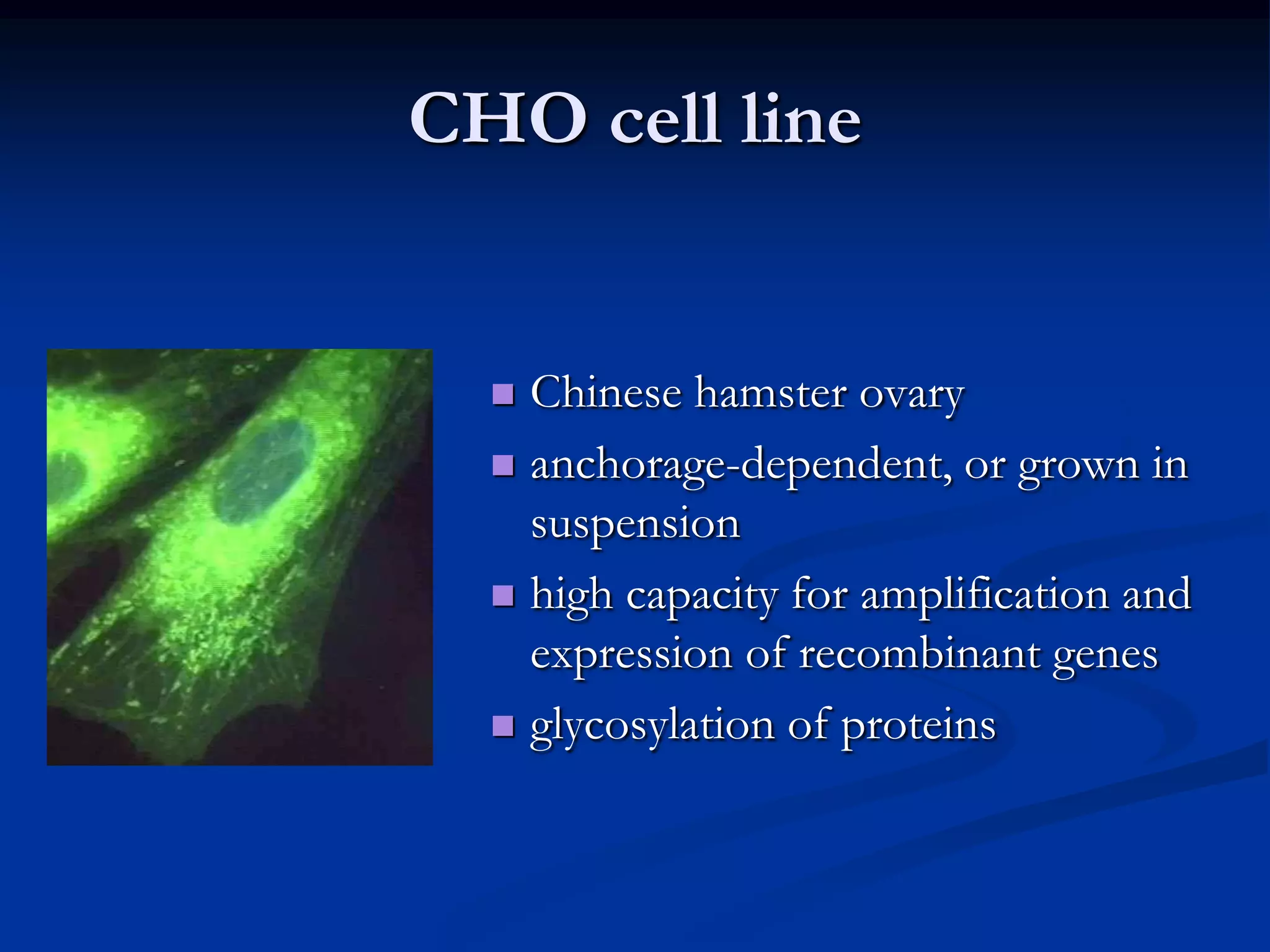 CHO cell line


   Chinese hamster ovary
   anchorage-dependent, or grown in
    suspension
   high capacity for amplification and
    expression of recombinant genes
   glycosylation of proteins
 