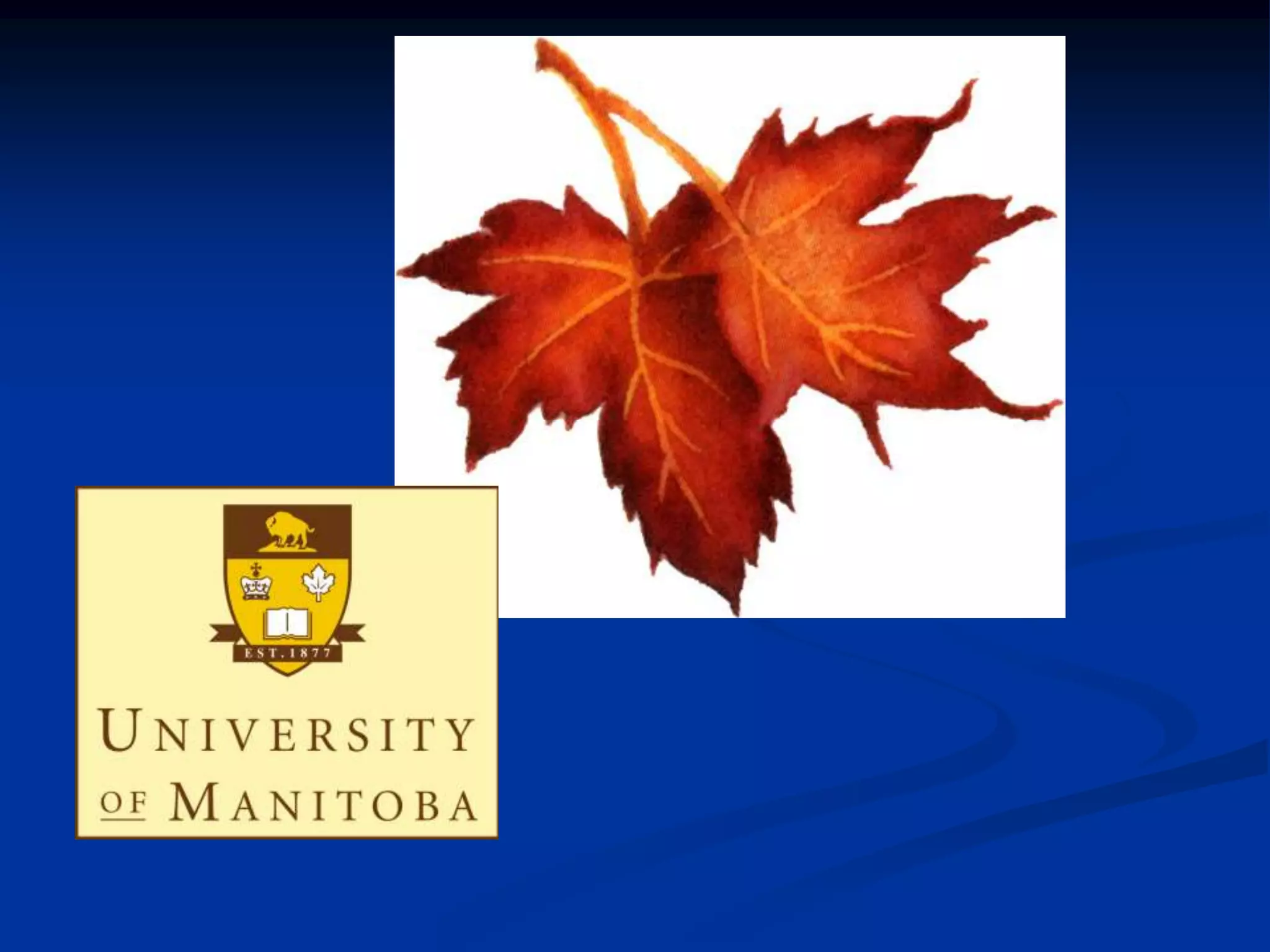 Lecture 3   animal cell types