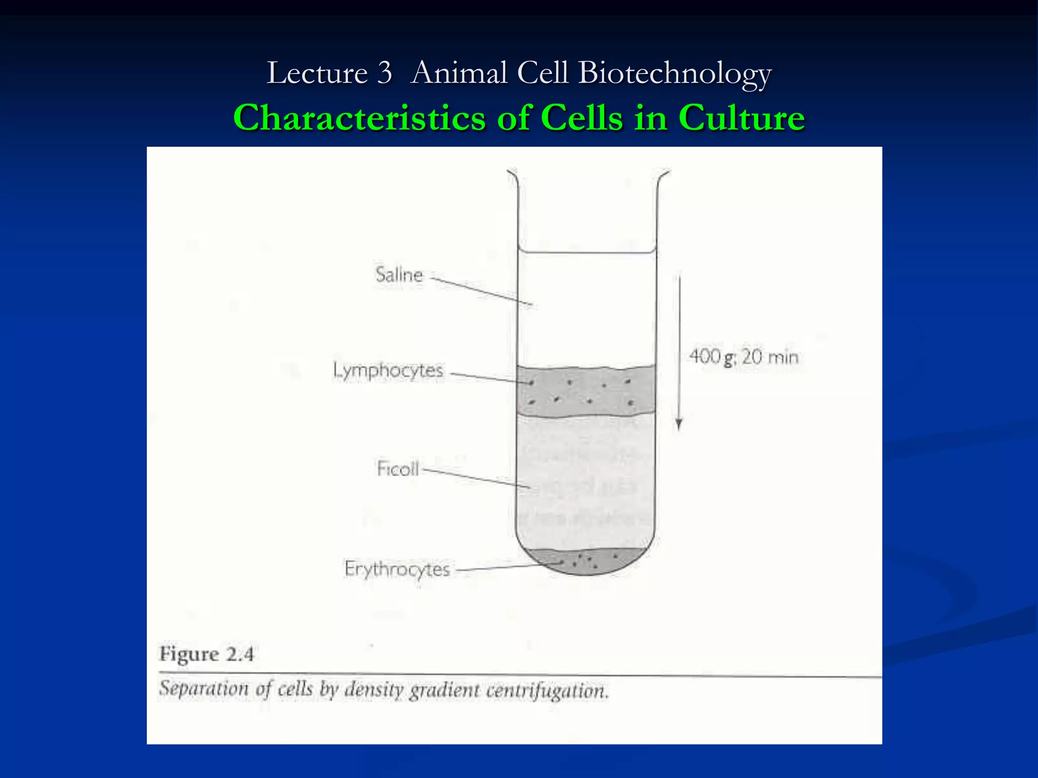 Lecture 3 Animal Cell Biotechnology
Characteristics of Cells in Culture
 