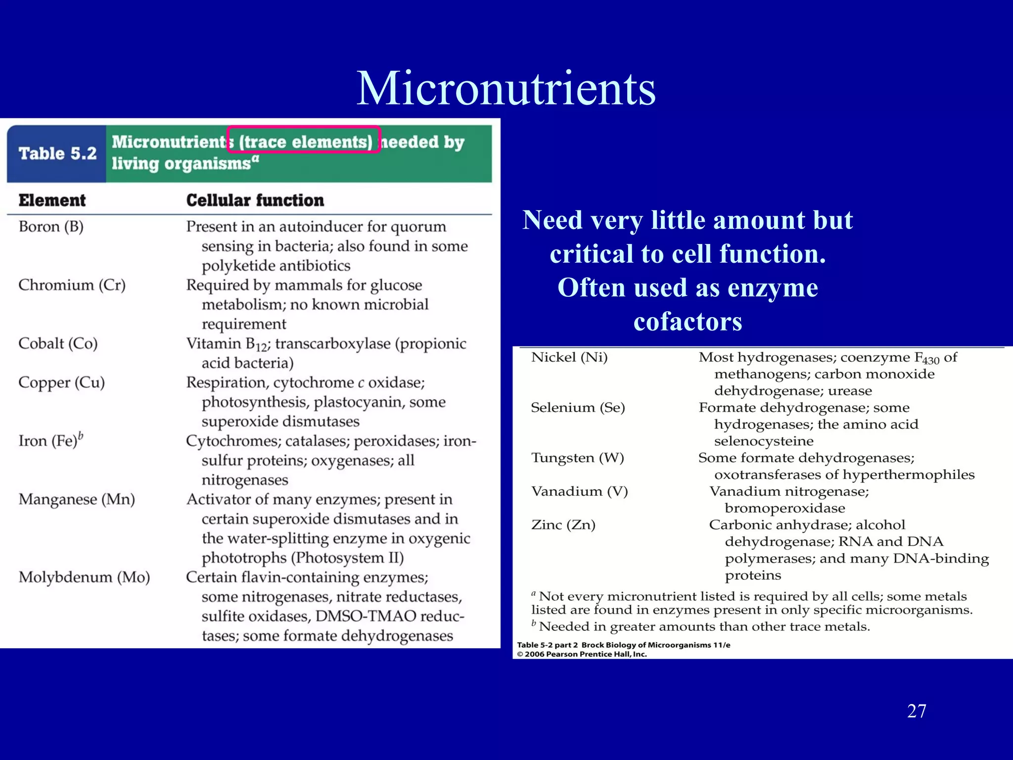 Micronutrients

       Need very little amount but
         critical to cell function.
          Often used as enzyme
                 cofactors




                                      27
 